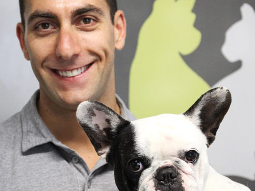 Dr. Michael Demertze and Willow - - Southside Animal Hospital Cronulla Veterinarian