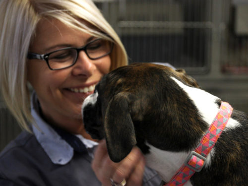 Kathy examining one of her patients