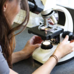 Ella at the microscope