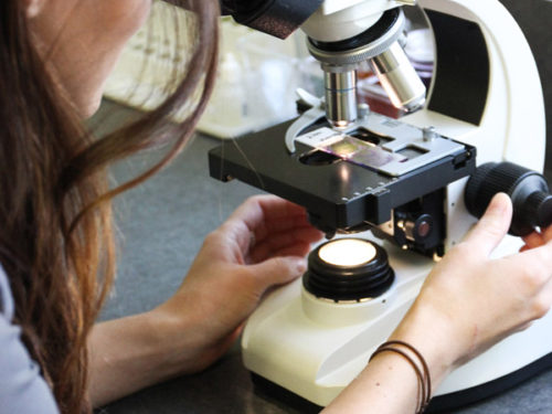 Ella at the microscope