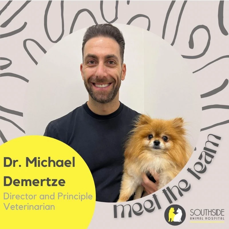 Dr. Michael Demertze