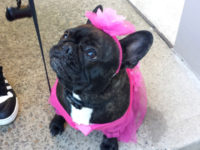 Willows’ “Dress Up” 2nd Birthday Party