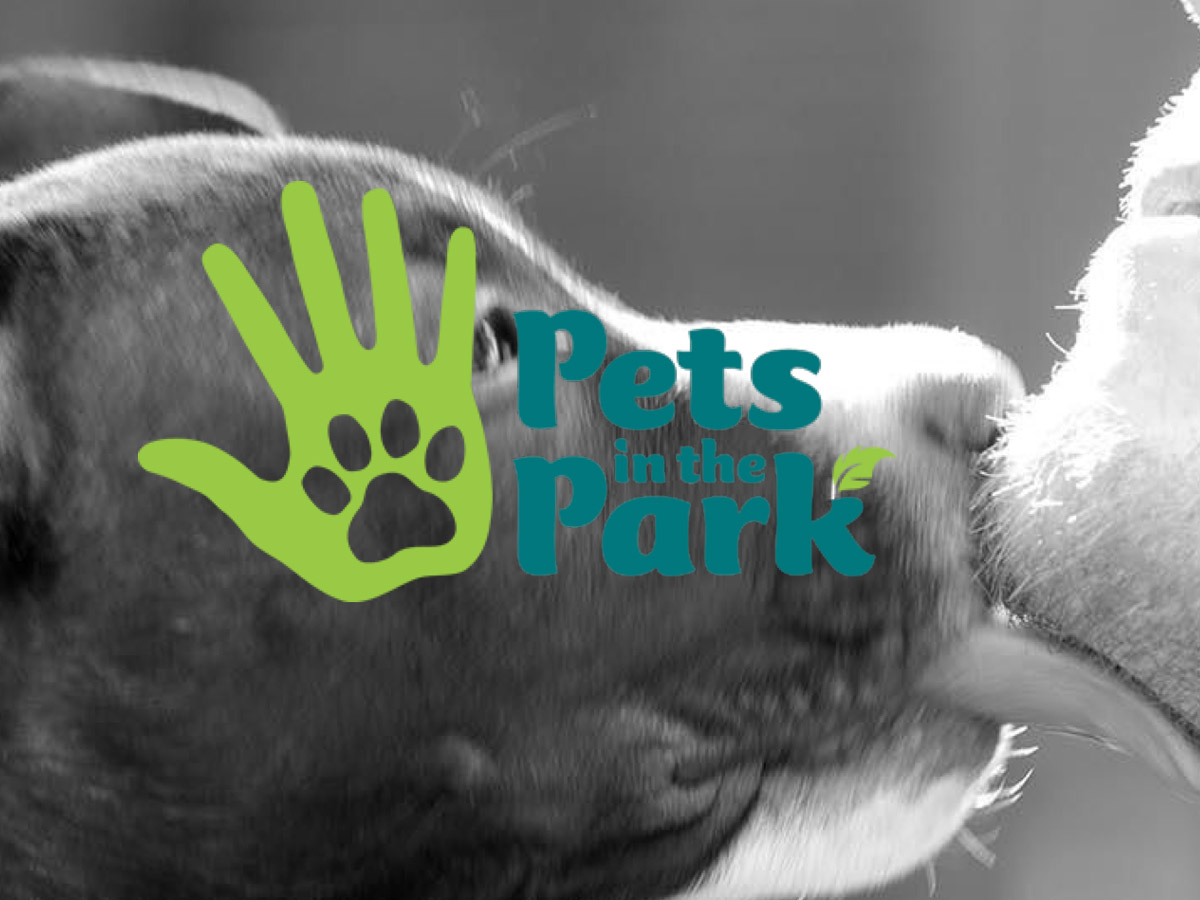 Pets in the Park Charity Volunteering