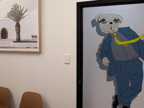 Gymea consultation room and hallway mural character