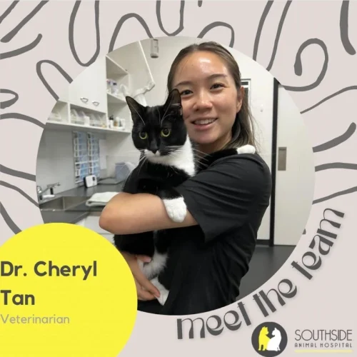 Dr Cheryl Tan - Veterinarian