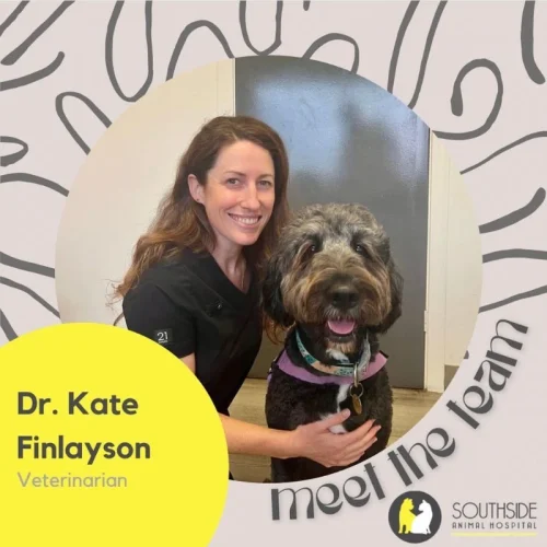 Dr Kate Scanlon - Veterinarian
