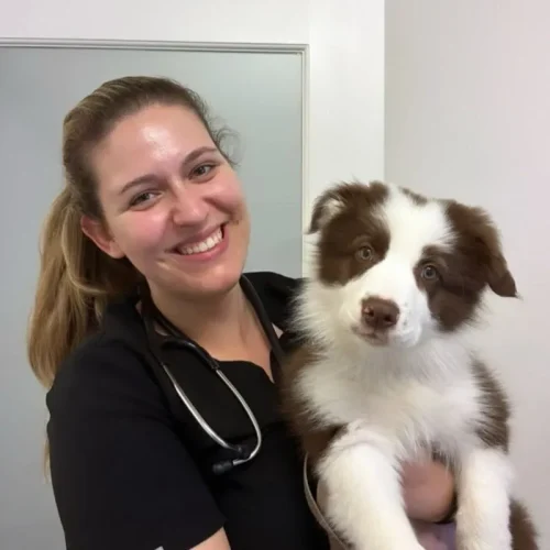 Dr Sanja Filipovic - Veterinarian
